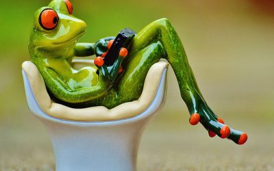 Alegato por cierta Incomodidad