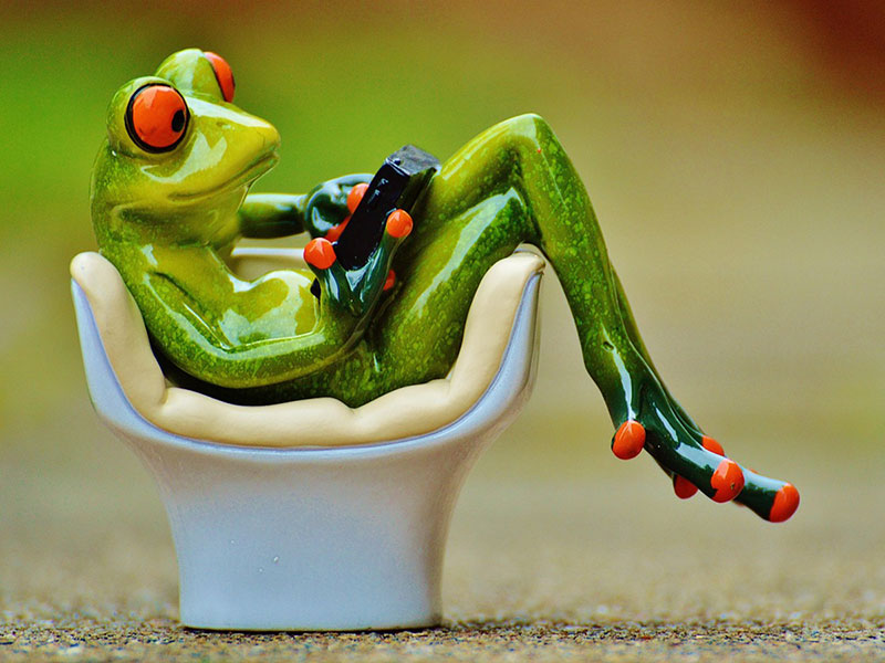 La Consulta de Chamberí - Artículo: Alegato por cierta Incomodidad